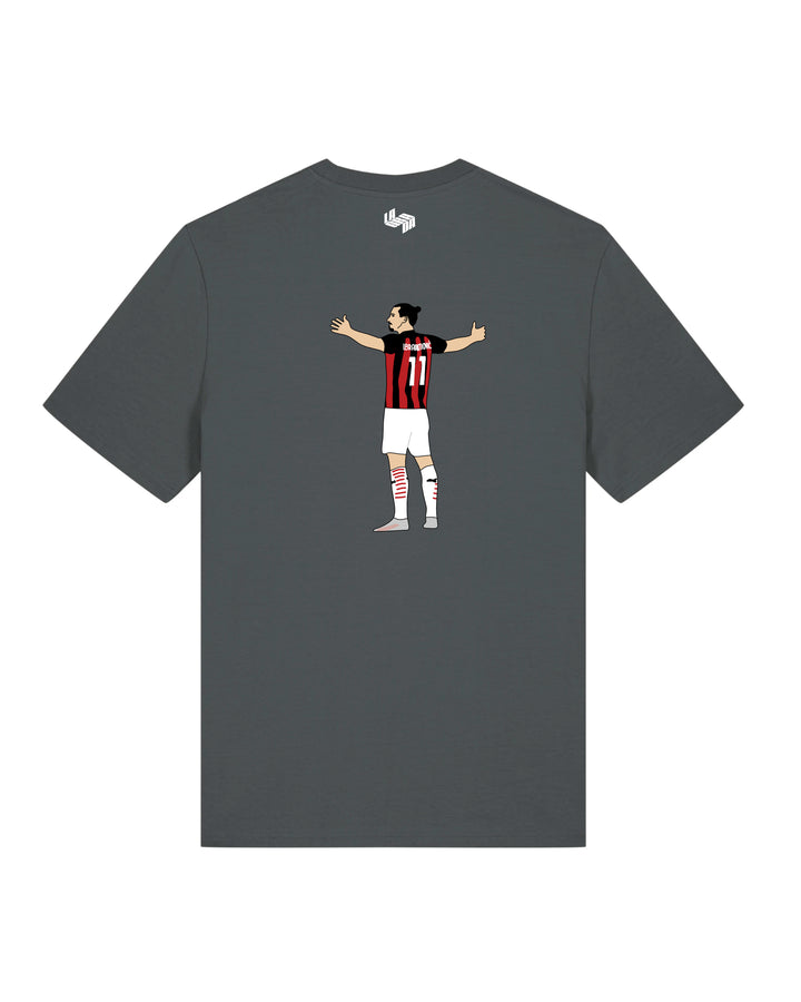 Camiseta  Ibrahimovic