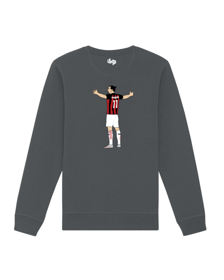 Sudadera Ibrahimovic